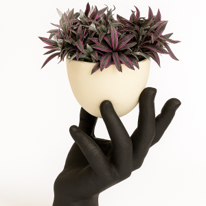 Palm Of Life